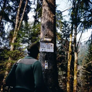 Schwarzwald