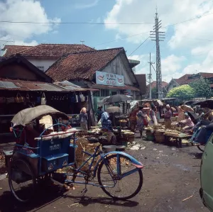 Java/Indonesien
