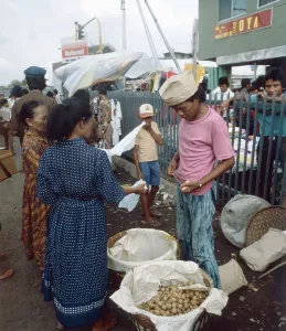 Java/Indonesien