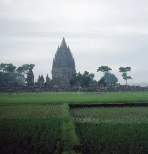 Java/Indonesien