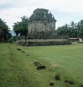 Java/Indonesien