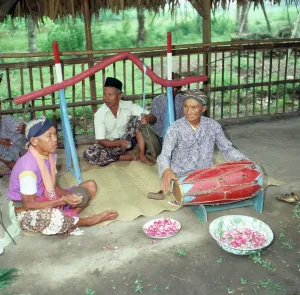 Java/Indonesien