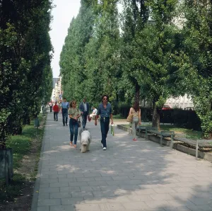 Ein Spaziergänger mit Hund entlang der Leopoldstraße in Richtung Schwabing.