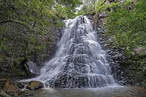 Deserted Village Landscape Drucke: 39 Steps Falls, waterfall in Hogsback