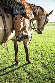 Rural Scene Photography Drucke: 4011-1350