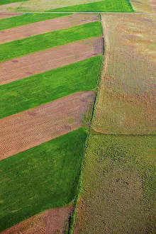 Colorful Agricultural Scene Drucke: An aerial view of patchwork of fields, on the plains of eastern Colorado