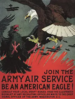 Military Aircraft History Drucke: Be An American Eagle!