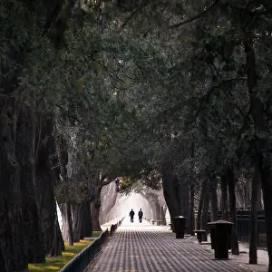 Drucke von Avenue November Drucke: Avenue