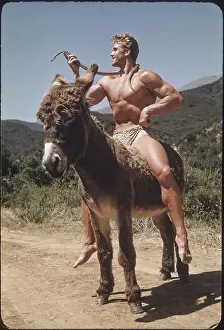 Vintage Bodybuilder Drucke: Bodybuilder with Snake on Donkey c.1951