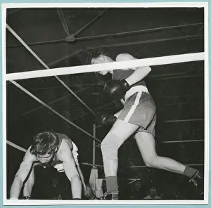 Boxing Ring Scene Drucke: Boxing