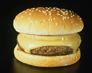 Fast Food Drucke: Close-up of a cheeseburger