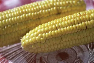 Corn On The Cob Drucke: Close-up of corn on the cob