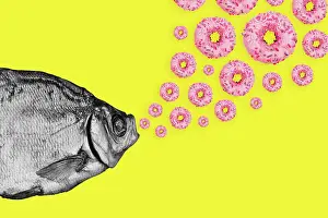 Collage Drucke: Konzept Fisch und Donuts auf einem farbigen Hintergrund.