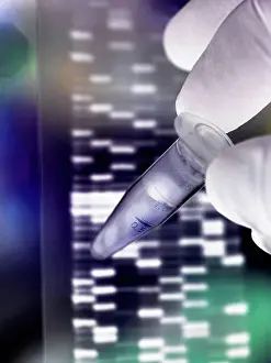 DNA Sequencing Drucke: DNA research