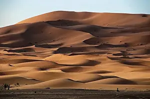 Morocco Desert Landscapes Drucke: Dramatic dune shapes characterised by shadow and light