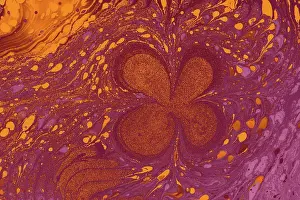Ebru-Marmorierung florale Muster... Einzigartige Kunst Flüssigmarbling.