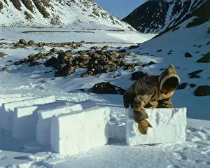 Canadian Wilderness Scenes Drucke: Eskimo making Igloo Canada (Arctic)