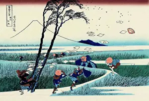Drucke von Flügelpapiere von Katsushika Hokusai, Farbholzschnitt, 1830-1833, 1760-1849, Russland, Moskau, Staatliches A. Puschkin-Museum für bildende Kunst, 25x37 Katsushika Hokusai Drucke: Fliegende Blätter von Katsushika Hokusai.