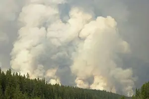 Rocky Mountains Alberta Canada Drucke: Forest fire, controlled burn, Saskatchewan Valley