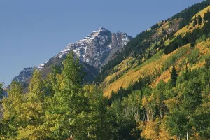 Colorado Mountain Landscape Drucke: Forest and mountainous landscape