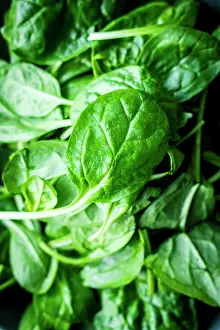 Vegetable Ingredients Drucke: Fresh spinach