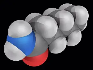 Drucke von Hexanamid Capronamid, molekularer Modell. Organische Verbindung, Amid. Reagiert mit Azo- und Diazoverbindungen zur Erzeugung giftiger Gase. Atome werden als 'a' dargestellt Mai Drucke: Hexanamid-Capronamid, molekularer Modell