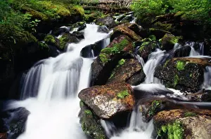 British Columbia Travel Destinations Drucke: High angle view of a stream flowing through rocks