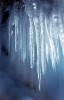 Close Up Nature Images Drucke: Icicle