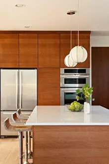 American Modern Architecture Drucke: Interior of Modern Kitchen