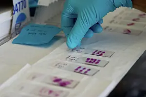 Science Lab Equipment Drucke: Lab tests