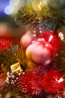 Christmas Decoration Inspiration Drucke: License this image at https://www