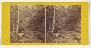 Drucke von Blick nach unten in den Lower Cascade. Weißer Berg. John B. Heywood (Amerikanisch, aktiv Boston, Massachusetts 1850er - 1860er) Massachusetts Drucke: Unterhalb der Lower Cascade. Weißer Berg