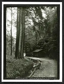 German Forest Photography Drucke: Man sitting at a forest path in Eisenach