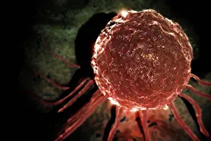 Biomedical Science Images Drucke: Microscopic styled view of a stem cell