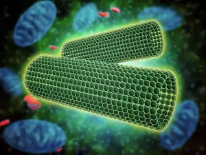 Drucke von Ein mikroskopischer Blick auf die Zylinderförmige Struktur der Centriolen innerhalb eines menschlichen Zells Oktober Drucke: Mikroskopische Ansicht eines Zylinderförmigen Strukturen von Zentriolen innerhalb einer menschlichen Zelle