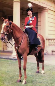 Königin Elisabeth II (geboren 1926), gesehen auf Pferd zu Fuß im Uniform der Grenadiere Garde, Datum: ca. 1953