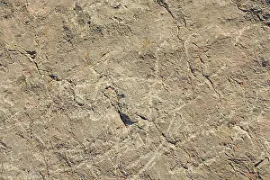 Stone Background Image Drucke: Natural rock or Stone surface as background texture