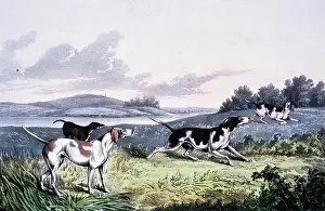 Currier And Ives Prints Drucke: Pointers, Currier and Ives, color lithograph
