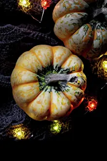 Dark Background Still Life Photography Drucke: Pumpkin