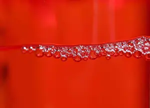 Drucke von Roter Seifenblasen in Makroblick Mai Drucke: Roter Seifenblasen in Makroblick.