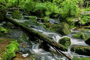 Bavaria River Drucke: River in Bavaria, Germany
