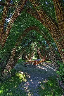 Brandenburg State Landscapes Drucke: Schlepzig Willow Cathedral, designed by Marcel Kalberer