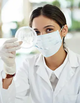 Scientist In Lab Coat Drucke: Scientist, petri dish and research with sample in lab from testing