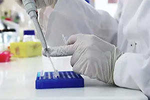 Medical Examination Process Drucke: Scientist with specimens in the laboratory