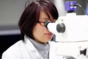 Laboratory Equipment Use Drucke: Scientist using microscope in lab