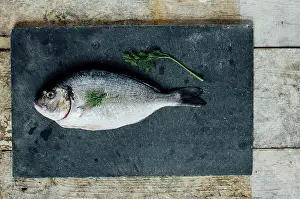 Fresh Fish Ingredients Drucke: Whole sea bream