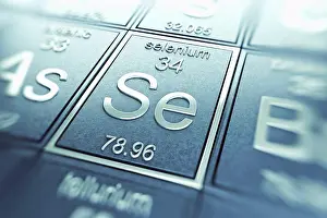 Building Blocks Of Elements Drucke: Selenium (Chemical Element)