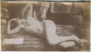 Nude Female Figure Drawing Drucke: Study of a feminine nude model