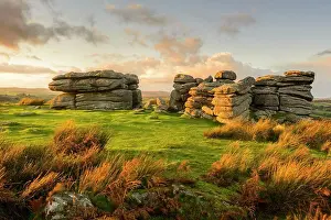 Devon Landscapes Drucke: A view of Combestone Tor