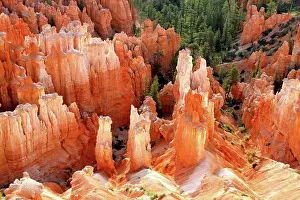 Bryce Canyon Hoodoos Drucke: View of hoodoos and cliffs at dawn